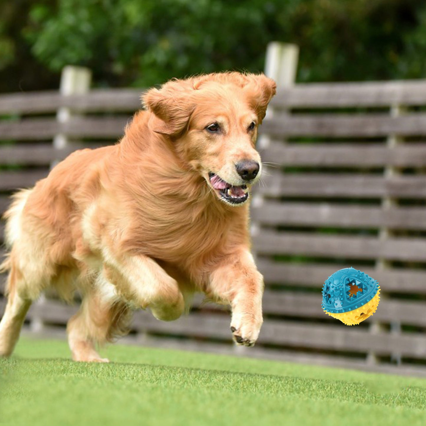 Dog Treat Dispensing Chew Ball