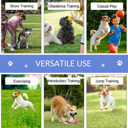 Portable Dog Agility Training Set with Jumping Ring and Weave Poles