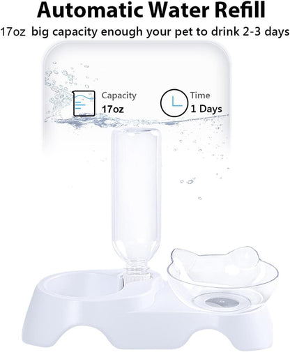 Double Tilted Pet Bowl Set with Automatic Water Dispenser