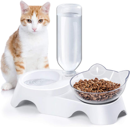 Double Tilted Pet Bowl Set with Automatic Water Dispenser