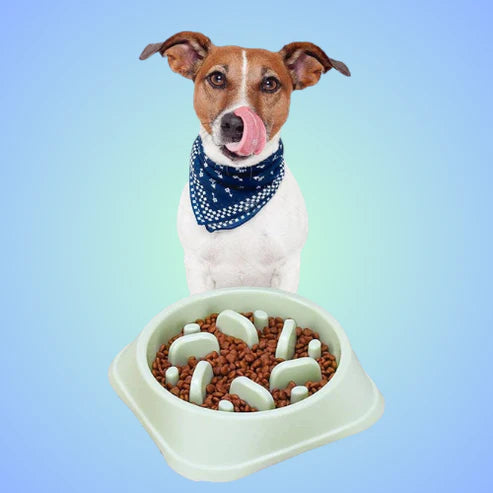 Non-Slip and Durable Best Slow Feeder Dog Bowl for Fun Mealtime