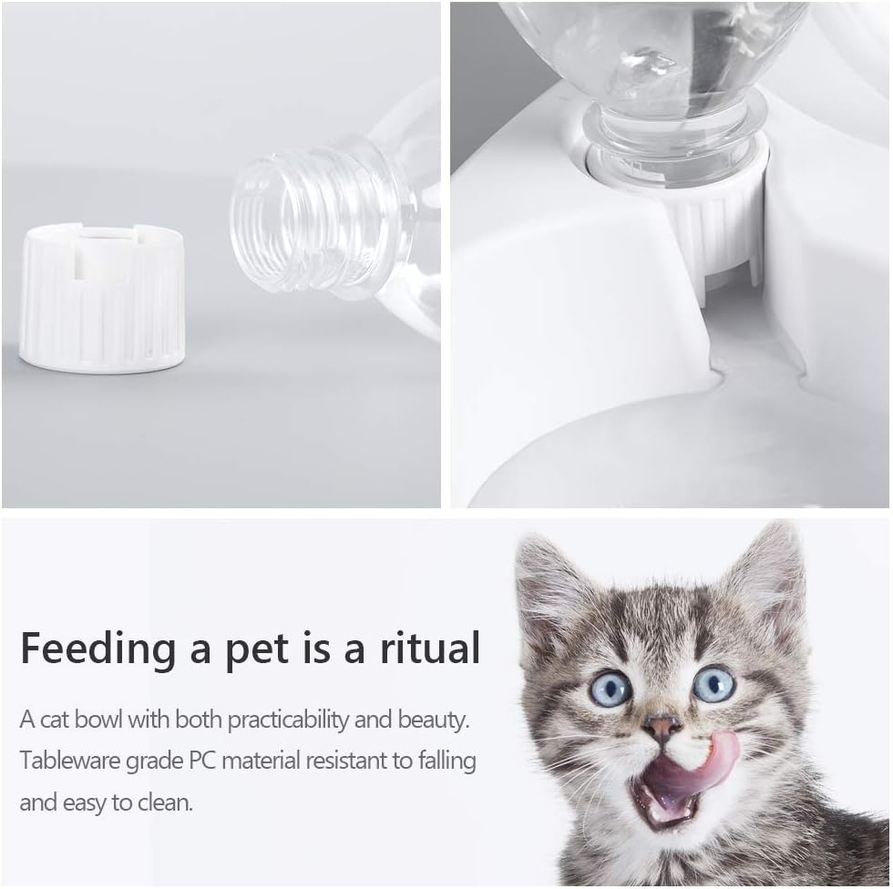 Double Tilted Pet Bowl Set with Automatic Water Dispenser
