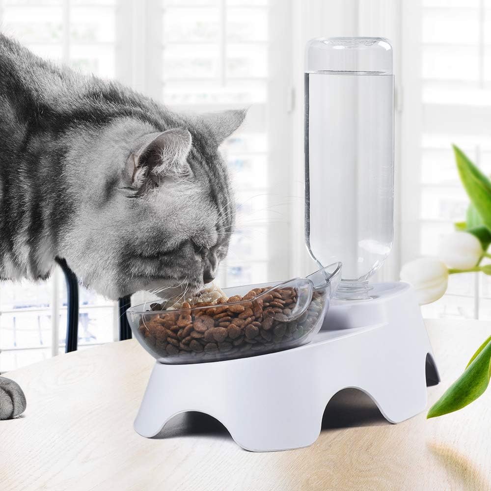 Double Tilted Pet Bowl Set with Automatic Water Dispenser