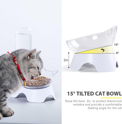 Double Tilted Pet Bowl Set with Automatic Water Dispenser