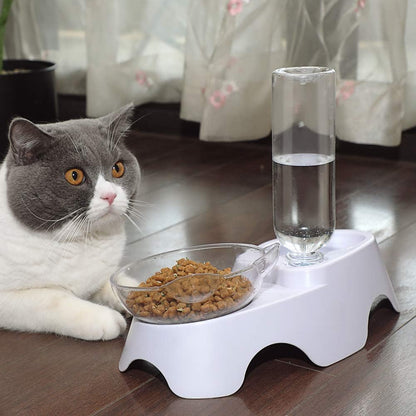 Double Tilted Pet Bowl Set with Automatic Water Dispenser