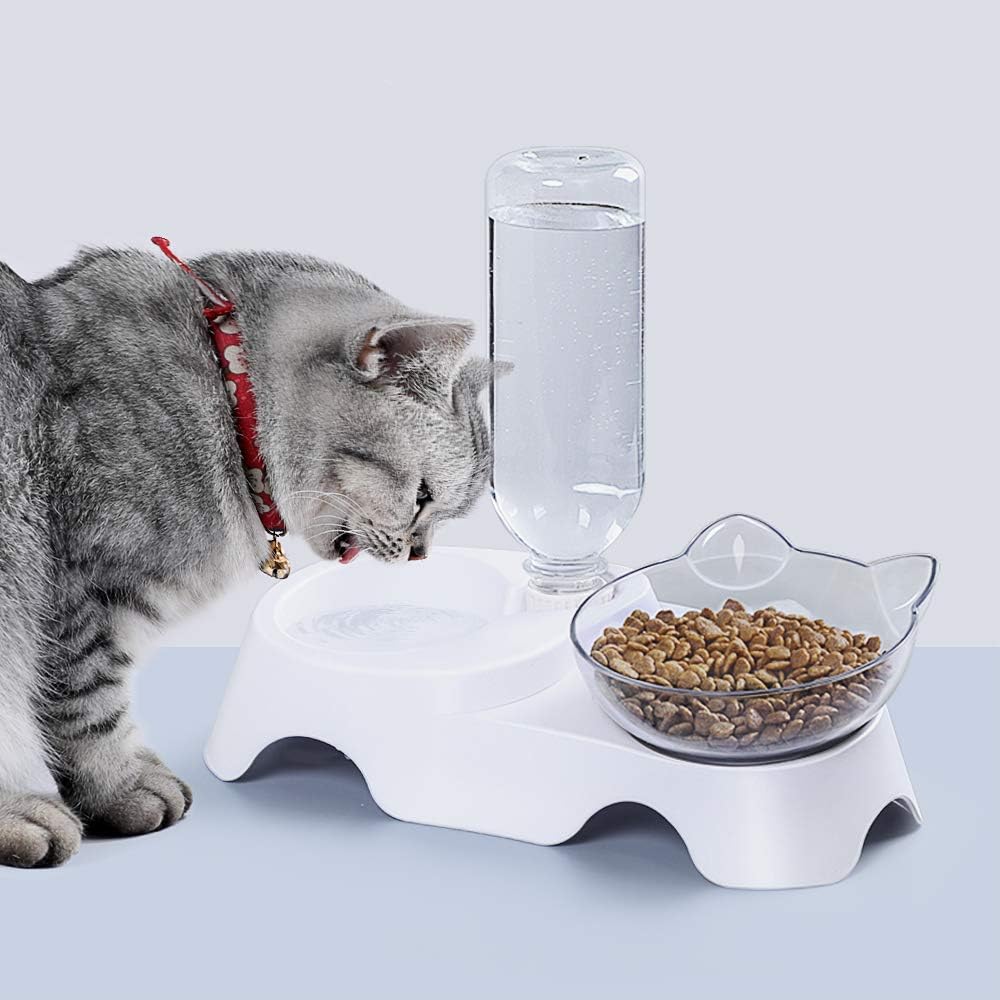Double Tilted Pet Bowl Set with Automatic Water Dispenser
