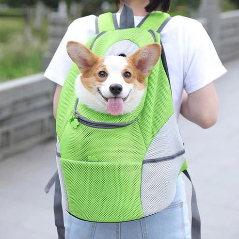 Travel Friendly Portable and Ventilated Luxury Dog Bag